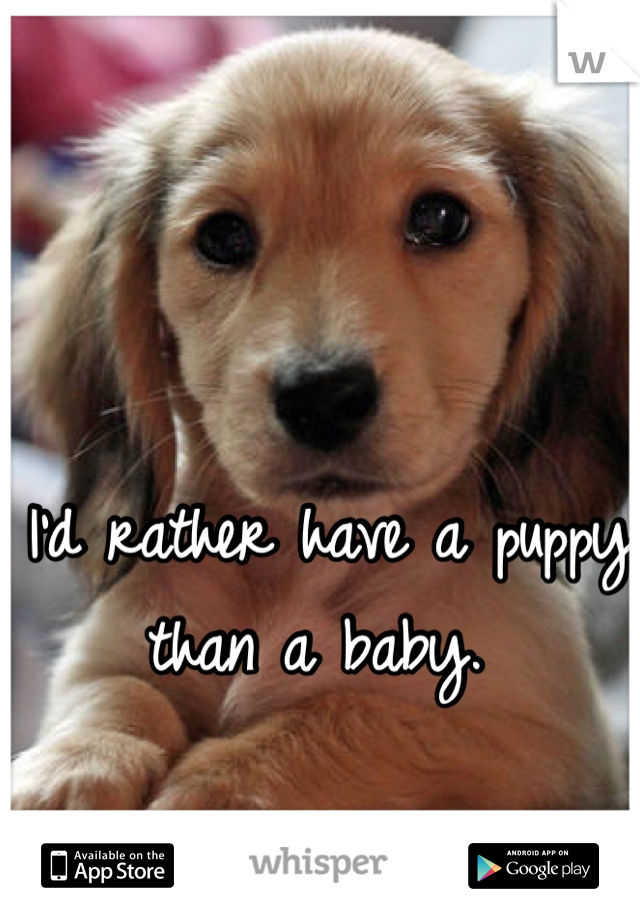 I'd rather have a puppy than a baby. 