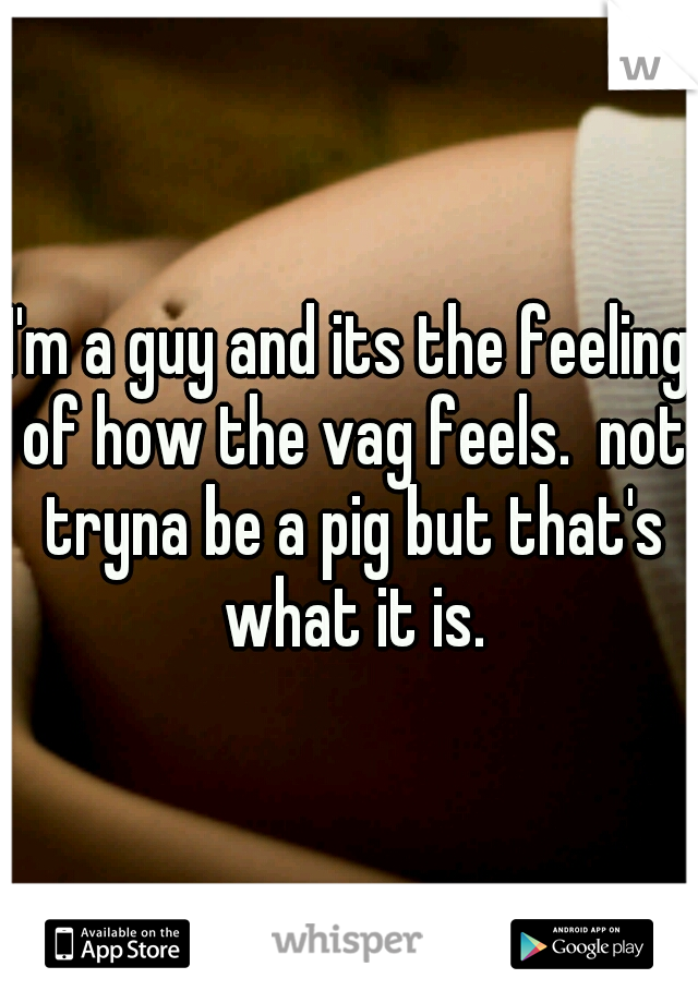 I'm a guy and its the feeling of how the vag feels.  not tryna be a pig but that's what it is.