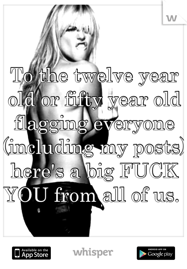 To the twelve year old or fifty year old flagging everyone (including my posts) here's a big FUCK YOU from all of us. 