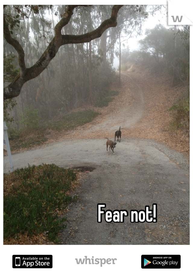 Fear not!