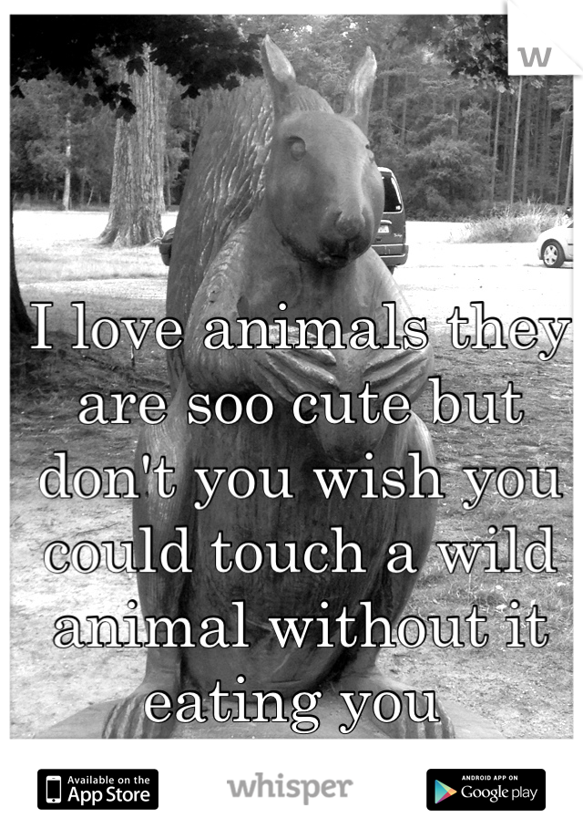 I love animals they are soo cute but don't you wish you could touch a wild animal without it eating you 