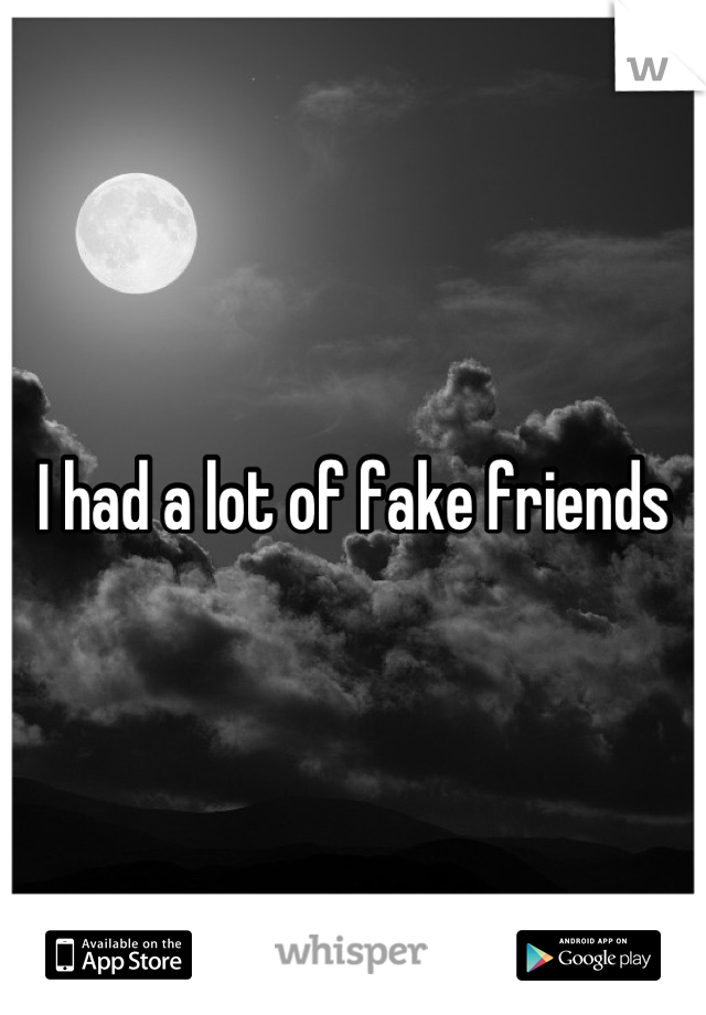 I had a lot of fake friends