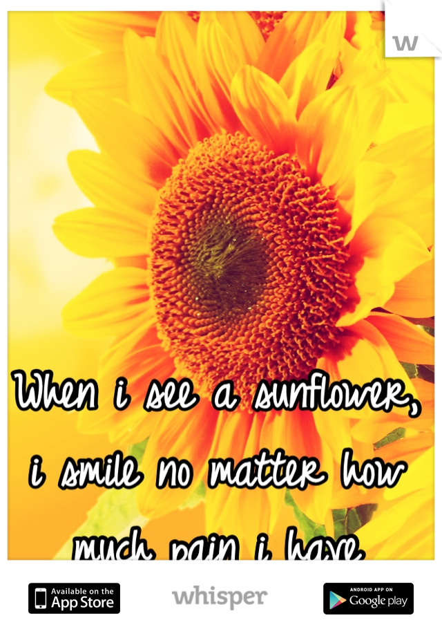 When i see a sunflower, i smile no matter how much pain i have