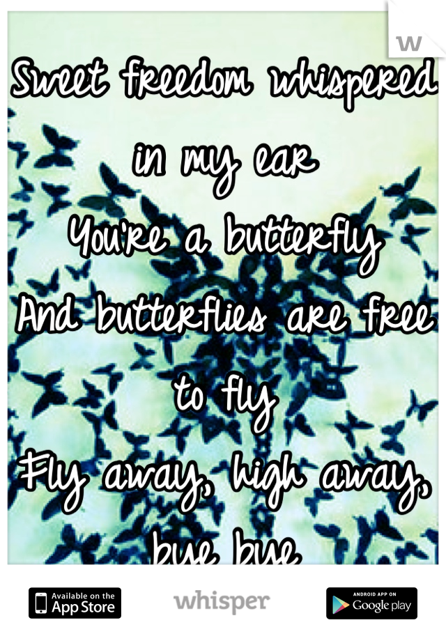 Sweet freedom whispered in my ear
You're a butterfly
And butterflies are free to fly
Fly away, high away, bye bye