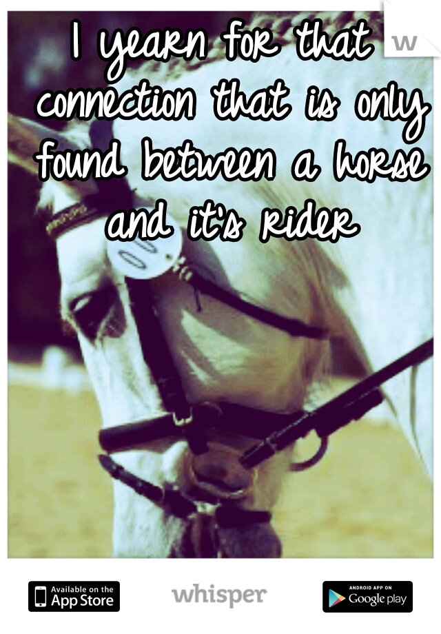 I yearn for that connection that is only found between a horse and it's rider