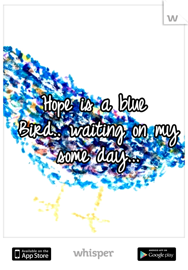 Hope is a blue Bird..
waiting on my some day...