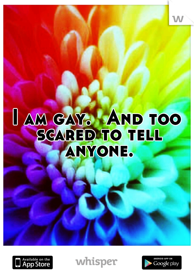 I am gay. 
And too scared to tell anyone.