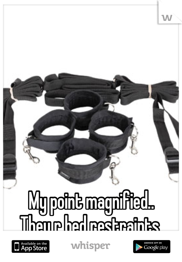 My point magnified.. 
They r bed restraints 