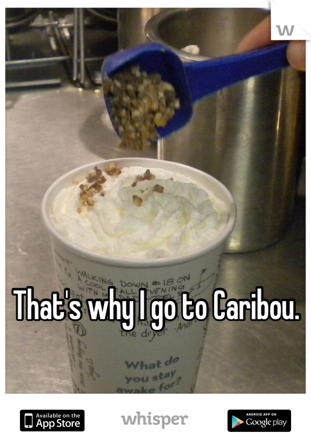 That's why I go to Caribou.