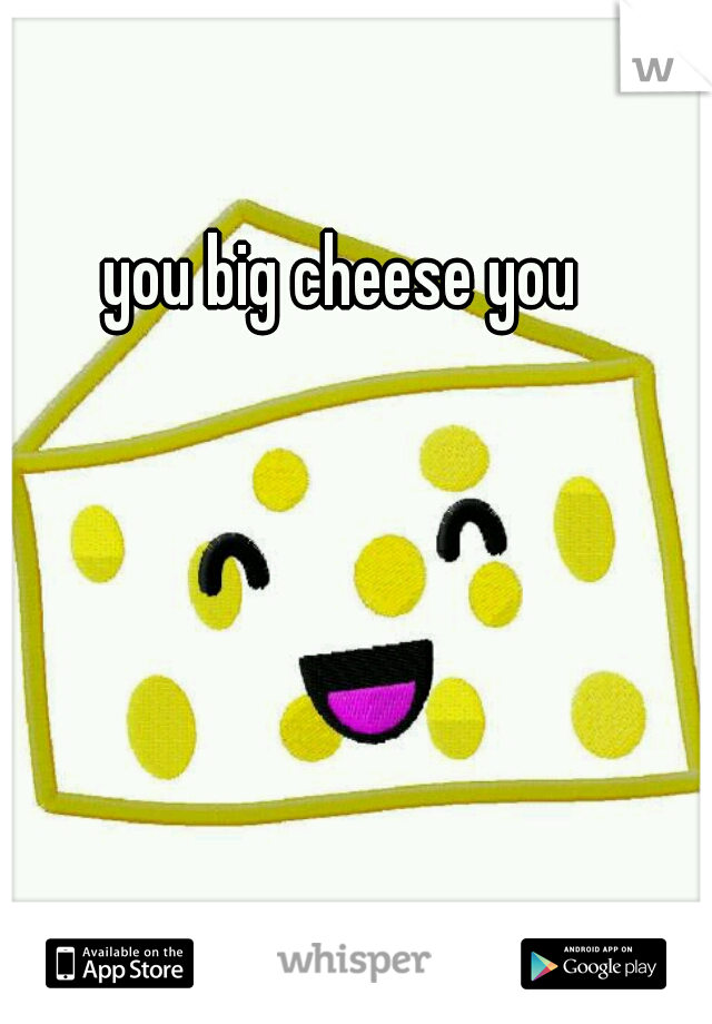 you big cheese you
