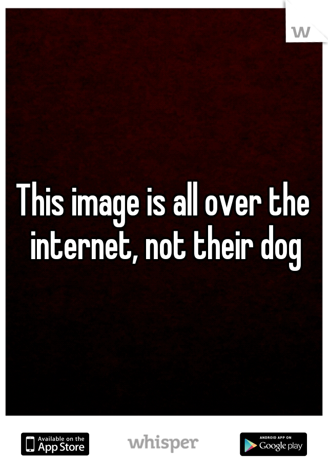 This image is all over the internet, not their dog