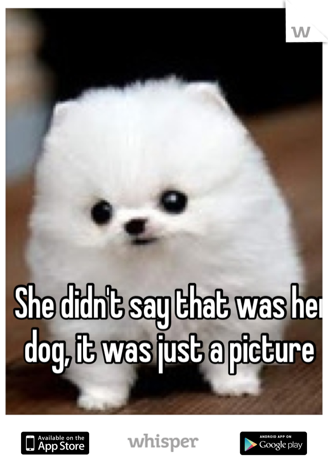 She didn't say that was her dog, it was just a picture 