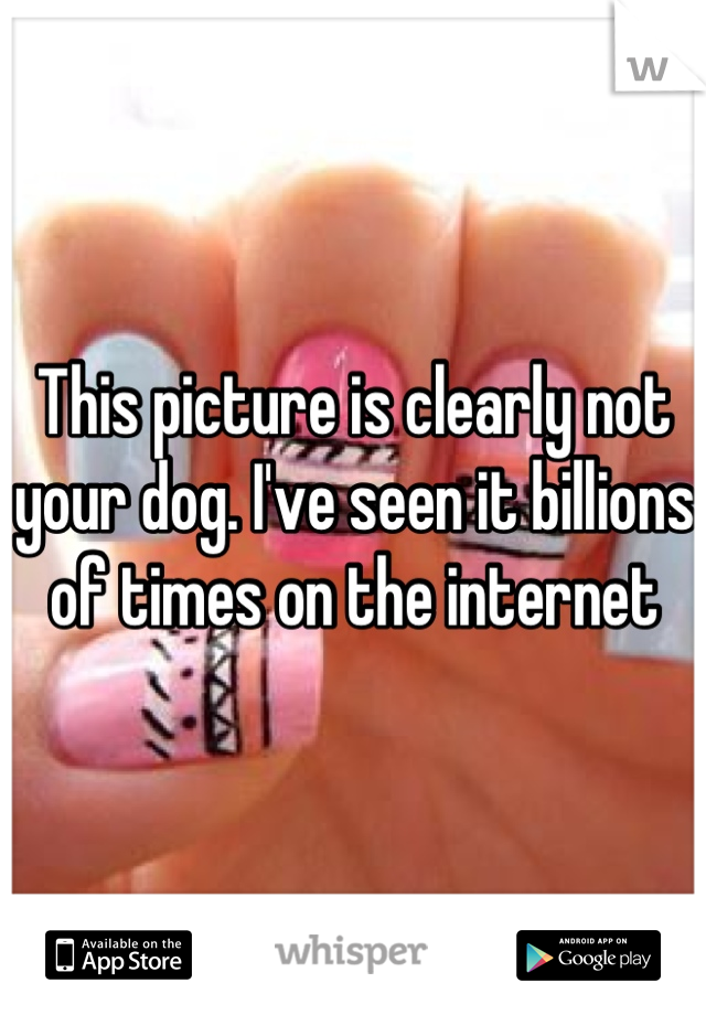 This picture is clearly not your dog. I've seen it billions of times on the internet