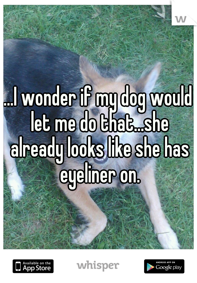 ...I wonder if my dog would let me do that...she already looks like she has eyeliner on.