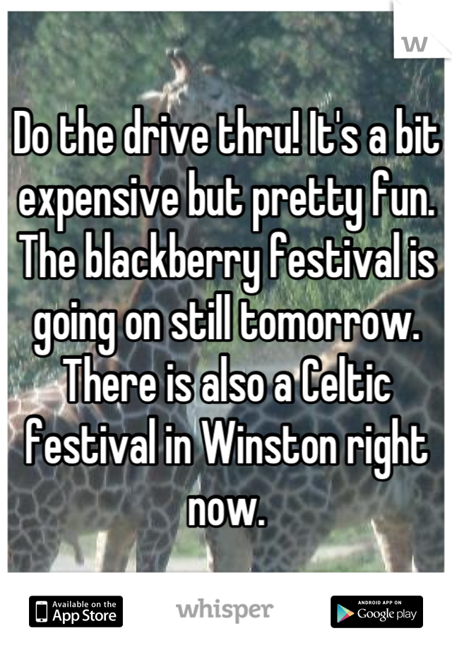 Do the drive thru! It's a bit expensive but pretty fun. The blackberry festival is going on still tomorrow. There is also a Celtic festival in Winston right now.