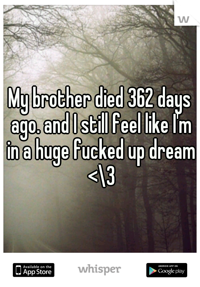 My brother died 362 days ago. and I still feel like I'm in a huge fucked up dream <\3