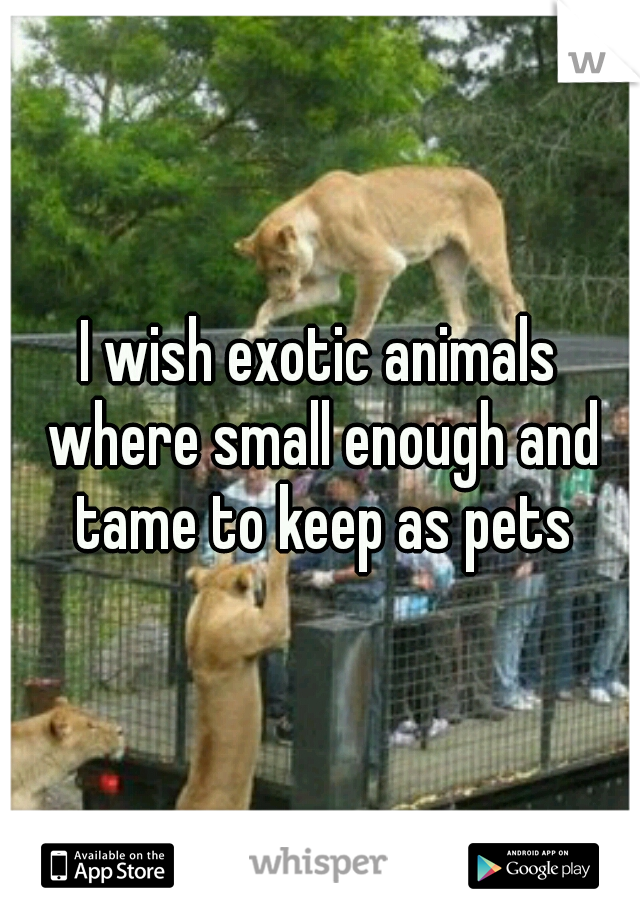 I wish exotic animals where small enough and tame to keep as pets