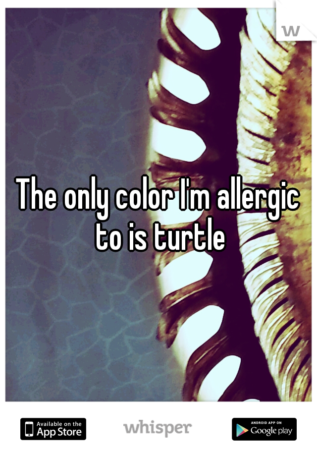 The only color I'm allergic to is turtle