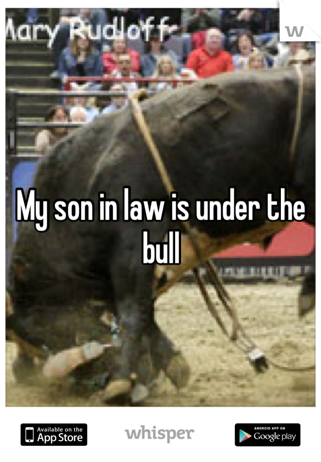 My son in law is under the bull
