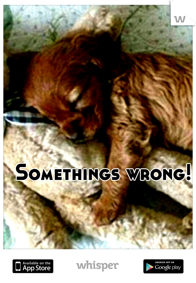 Somethings wrong!