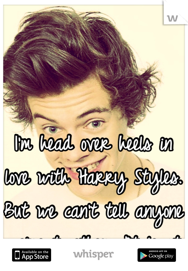 I'm head over heels in love with Harry Styles. But we can't tell anyone we're together. At least not yet.