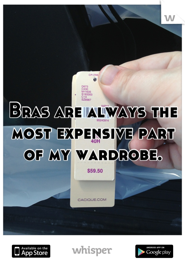Bras are always the most expensive part of my wardrobe.
