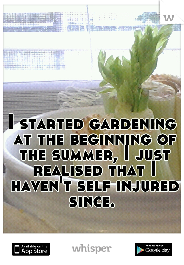 I started gardening at the beginning of the summer, I just realised that I haven't self injured since. 