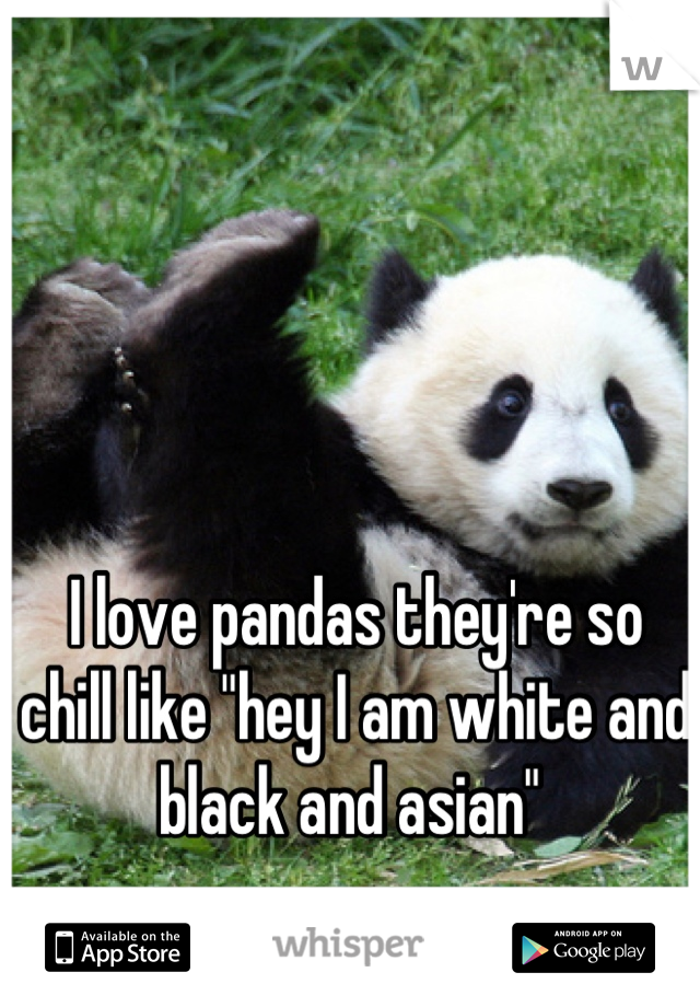 I love pandas they're so chill like "hey I am white and black and asian" 