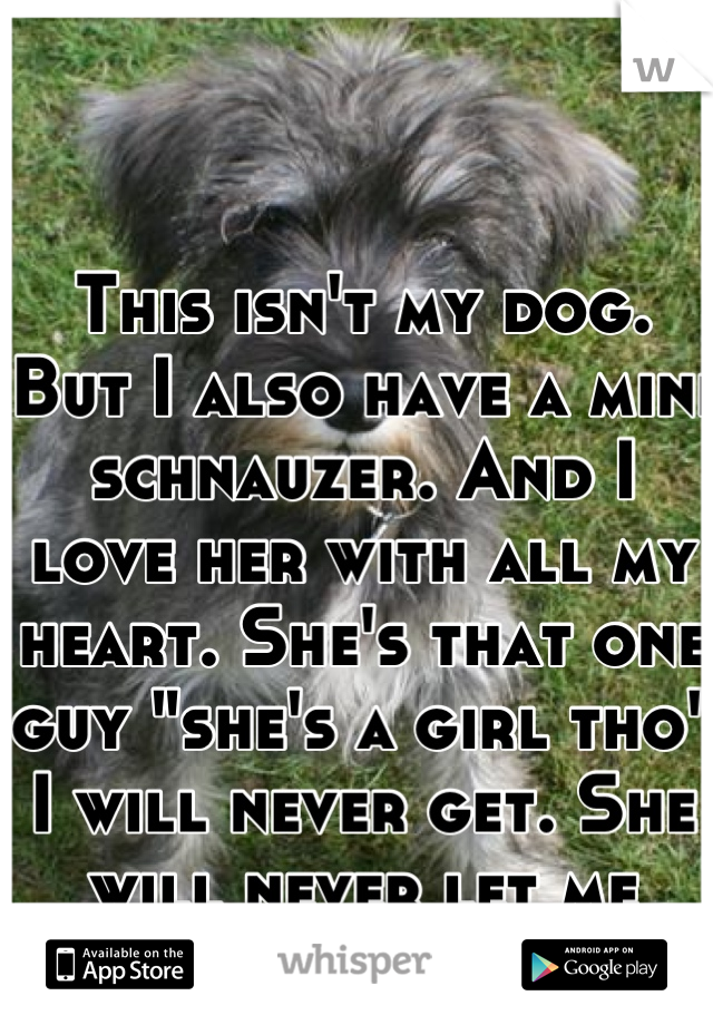 This isn't my dog. But I also have a mini schnauzer. And I love her with all my heart. She's that one guy "she's a girl tho" I will never get. She will never let me down. (: