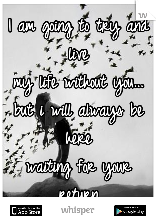 I am going to try and live
my life without you...
but i will always be here
waiting for your 
return