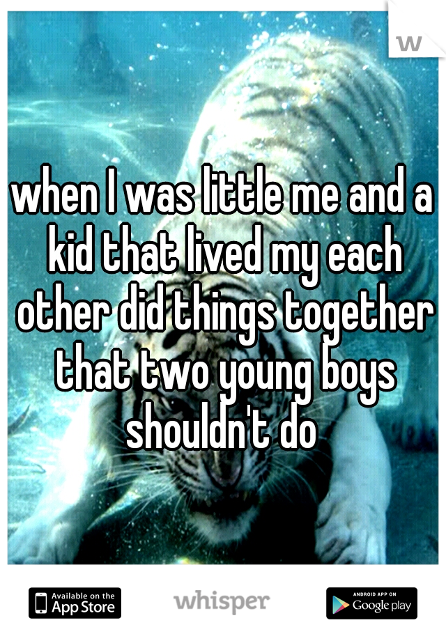 when I was little me and a kid that lived my each other did things together that two young boys shouldn't do 