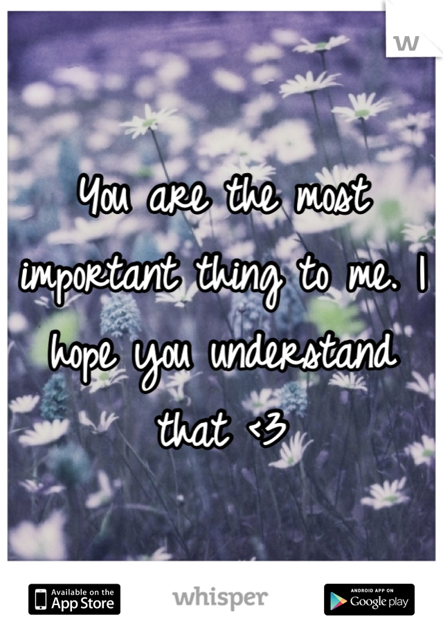 You are the most important thing to me. I hope you understand that <3
