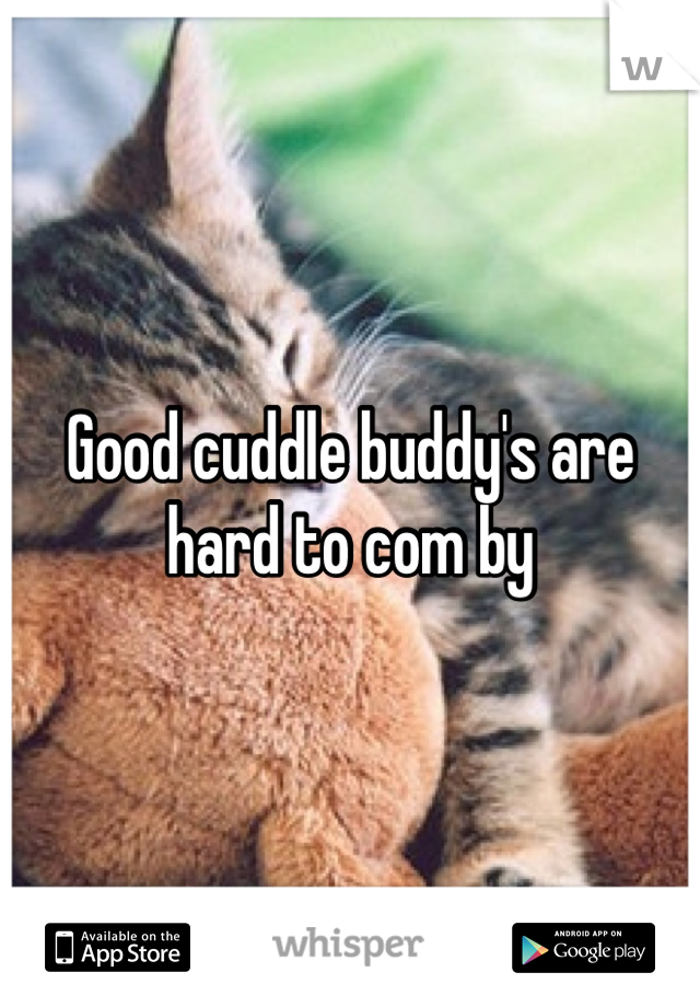 Good cuddle buddy's are hard to com by