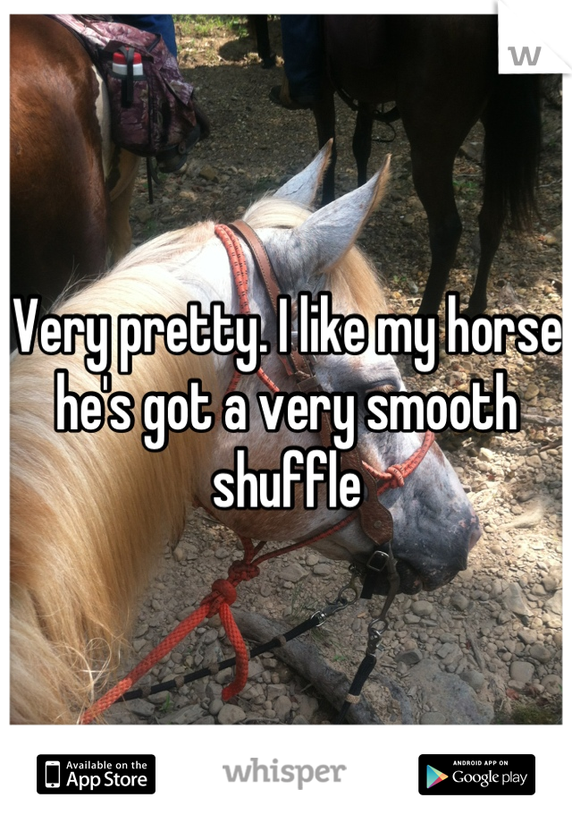 Very pretty. I like my horse he's got a very smooth shuffle