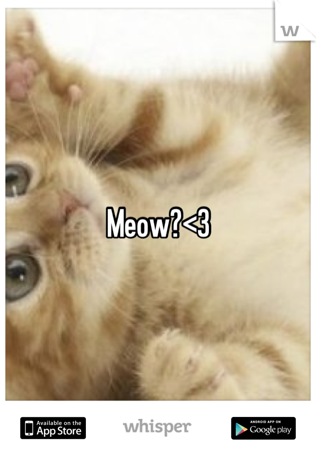 Meow?<3