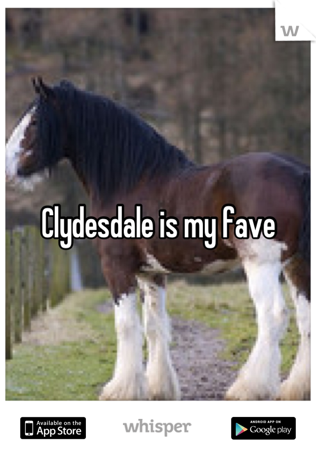 Clydesdale is my fave