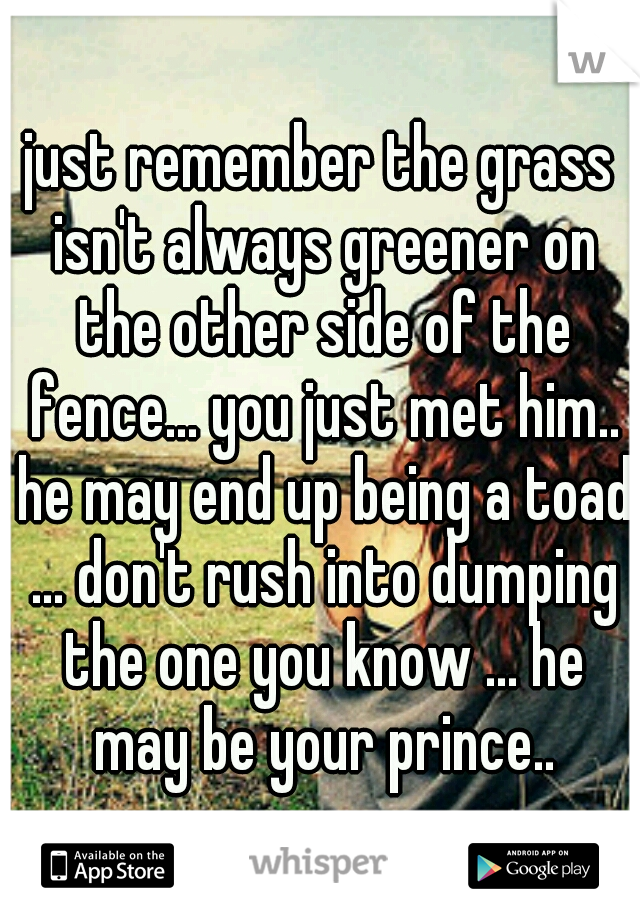 just remember the grass isn't always greener on the other side of the fence... you just met him.. he may end up being a toad ... don't rush into dumping the one you know ... he may be your prince..
