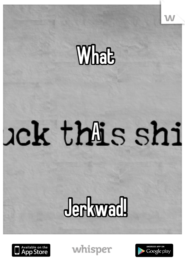 What


A


Jerkwad!