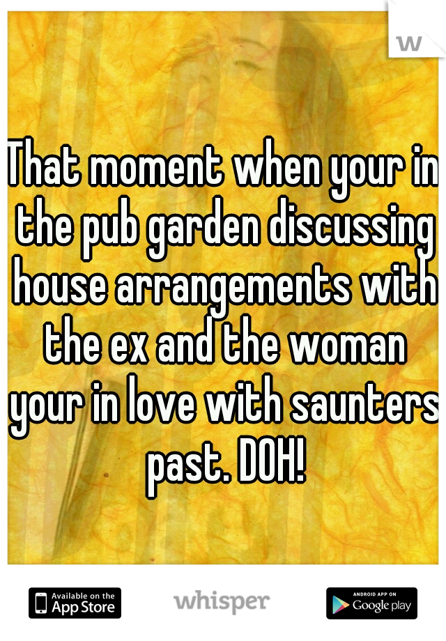 That moment when your in the pub garden discussing house arrangements with the ex and the woman your in love with saunters past. DOH!
