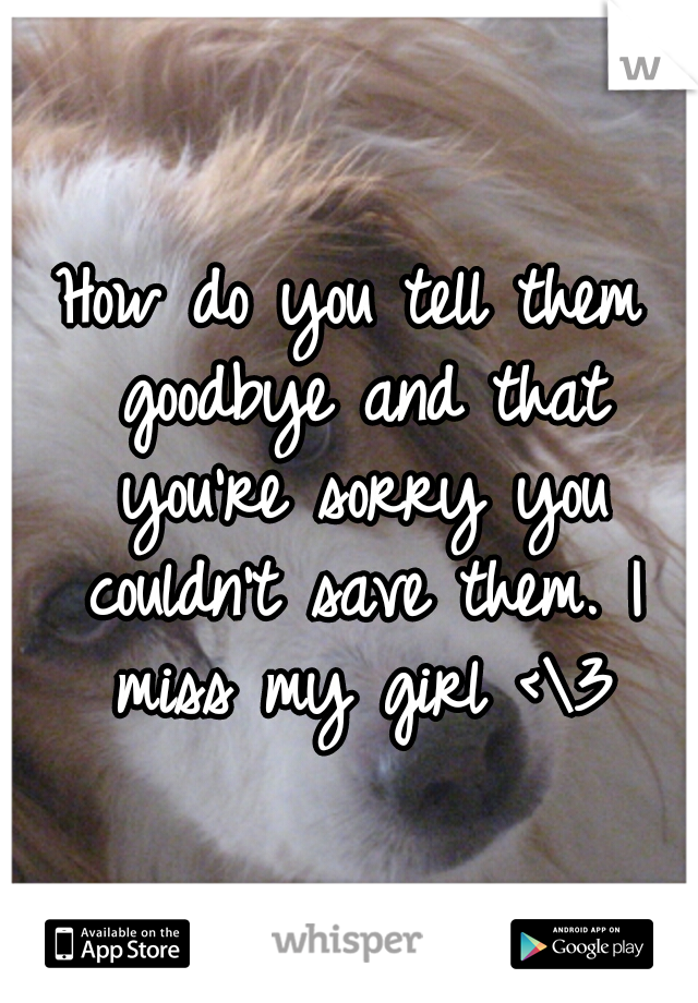 How do you tell them goodbye and that you're sorry you couldn't save them. I miss my girl <\3
