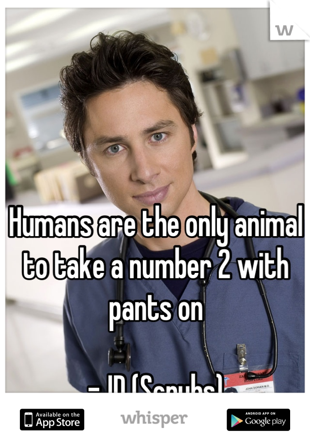 Humans are the only animal to take a number 2 with pants on

-JD (Scrubs)