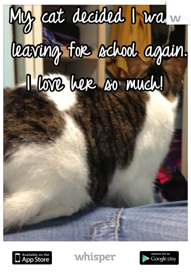 My cat decided I wasn't leaving for school again. I love her so much! 