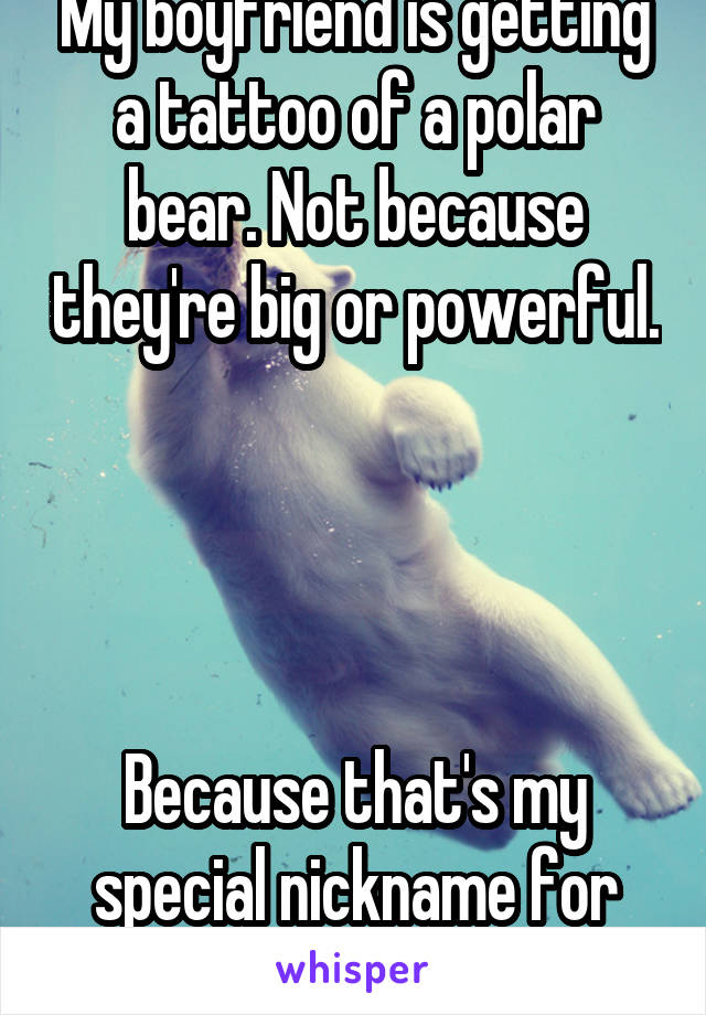 My boyfriend is getting a tattoo of a polar bear. Not because they're big or powerful. 



Because that's my special nickname for him. 
