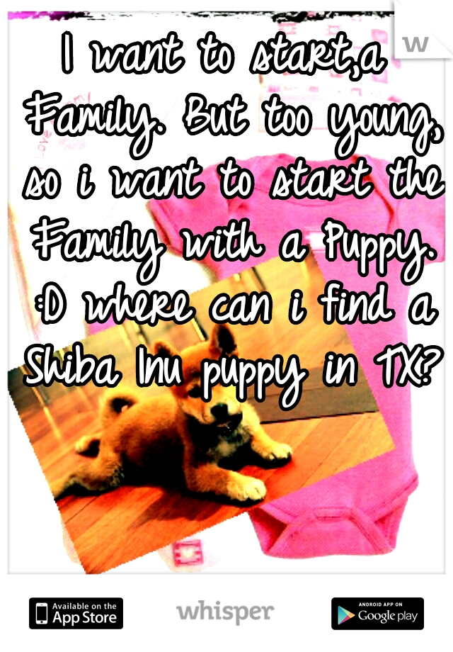 I want to start,a Family. But too young, so i want to start the Family with a Puppy. :D where can i find a Shiba Inu puppy in TX??