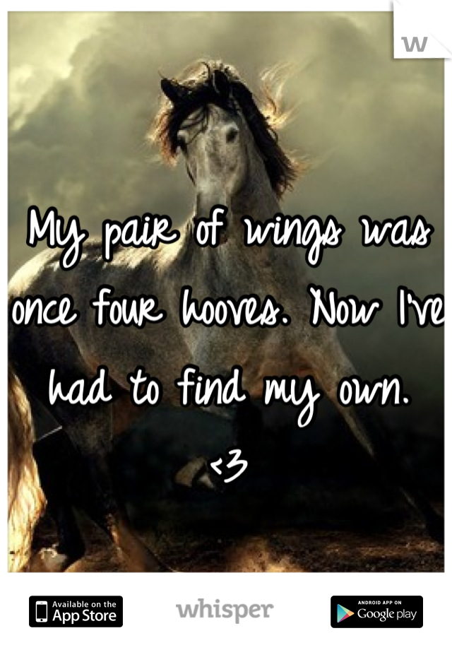 My pair of wings was once four hooves. Now I've had to find my own. 
<3