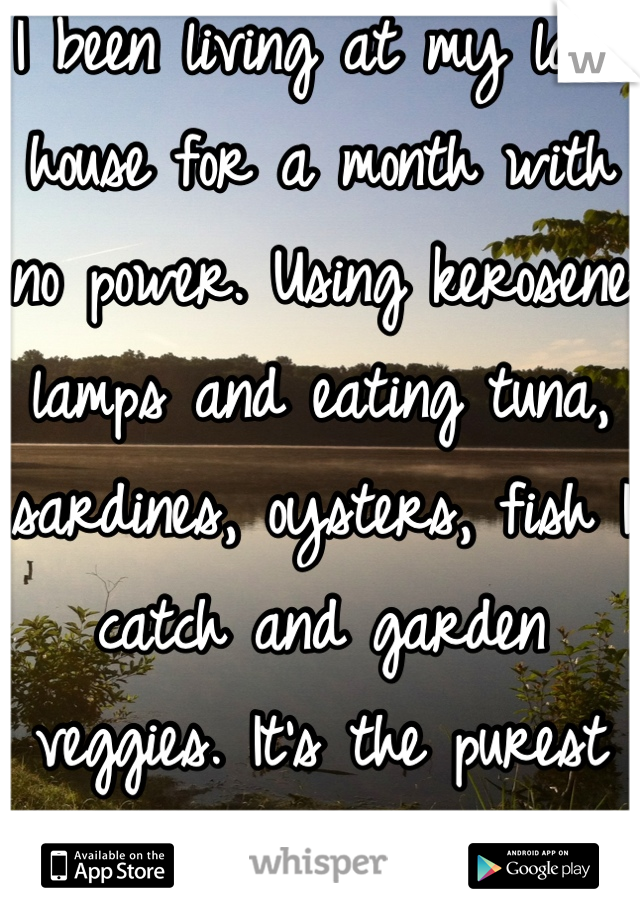 I been living at my lake house for a month with no power. Using kerosene lamps and eating tuna, sardines, oysters, fish I catch and garden veggies. It's the purest and best feeling ever! 