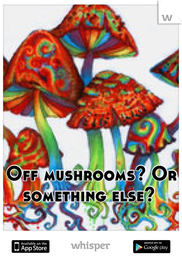 Off mushrooms? Or something else? 