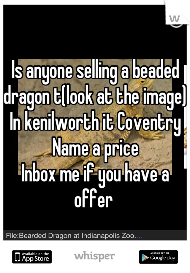Is anyone selling a beaded dragon t(look at the image) 
In kenilworth it Coventry 
Name a price 
Inbox me if you have a offer 