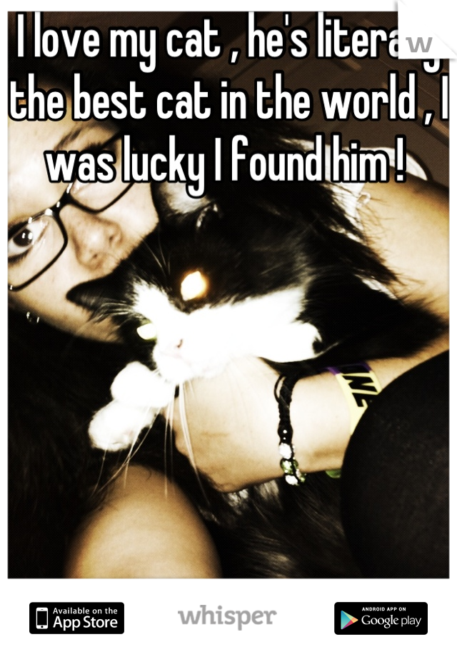 I love my cat , he's literally the best cat in the world , I was lucky I found him ! 