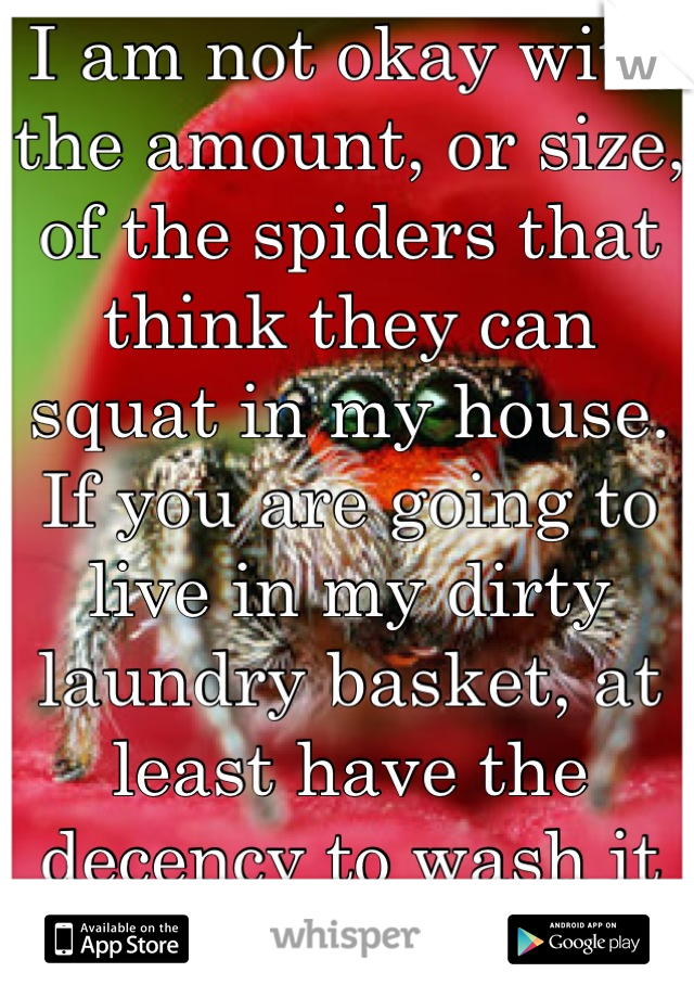 I am not okay with the amount, or size, of the spiders that think they can squat in my house. If you are going to live in my dirty laundry basket, at least have the decency to wash it for me. 
Asshole